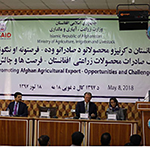 میزان صادرات زراعتی کشور به 700 میلیون دالر در سال رسیده است 